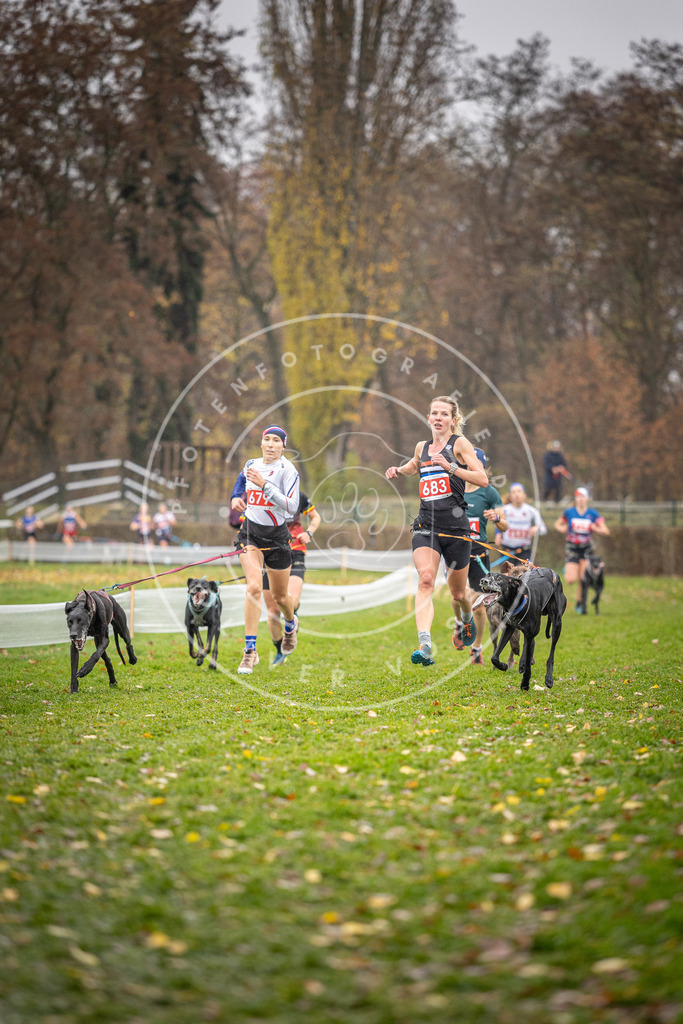 CaniXpix_DV3A8972 | Hundefotografie, Tierfotograf, Pfotenfotografie, Fotoshooting Hund, Hunde Portrait, Hundesport, Hundeportraits, Heideshooting, Hunde, Sportfotograf, Hundefotograf, Turnierhundsport, THS,  - Realisiert mit Pictrs.com