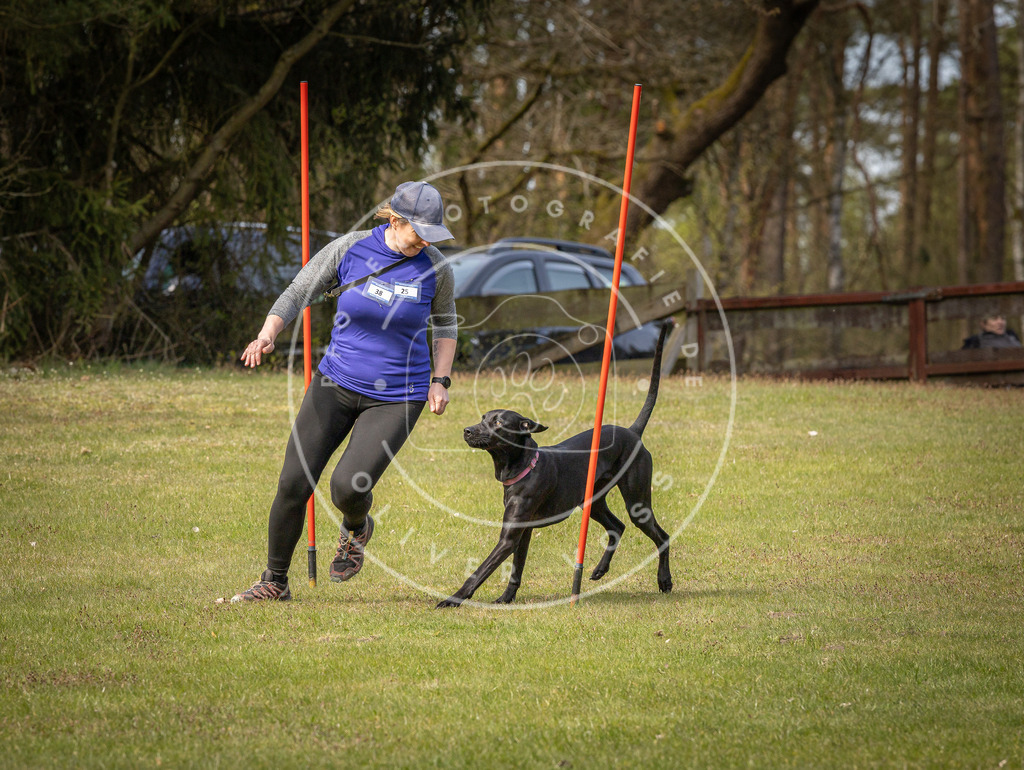 Pfotenfotografie_DV3A7497 | Hundefotografie, Tierfotograf, Pfotenfotografie, Fotoshooting Hund, Hunde Portrait, Hundesport, Hundeportraits, Heideshooting, Hunde, Sportfotograf, Hundefotograf, Turnierhundsport, THS,  - Realisiert mit Pictrs.com
