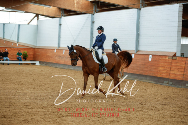 _62_5577 | Turniersportfotografie; Pferdefotografie; Dressurfotografie