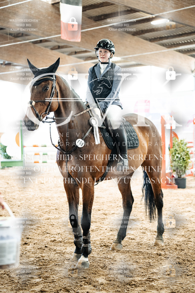 CK702887 | Turnierfotografie Pferdefotografie Trier Rheinland-Pfalz Pferdesport Reitsport Tierfotografie Sportfotografie Pferdevideo Pferdevideografie Equestrianvideography equestrianphotography  - Realized with Pictrs.com