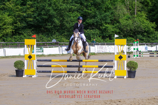 DKP41266 | Turniersportfotografie; Pferdefotografie; Dressurfotografie