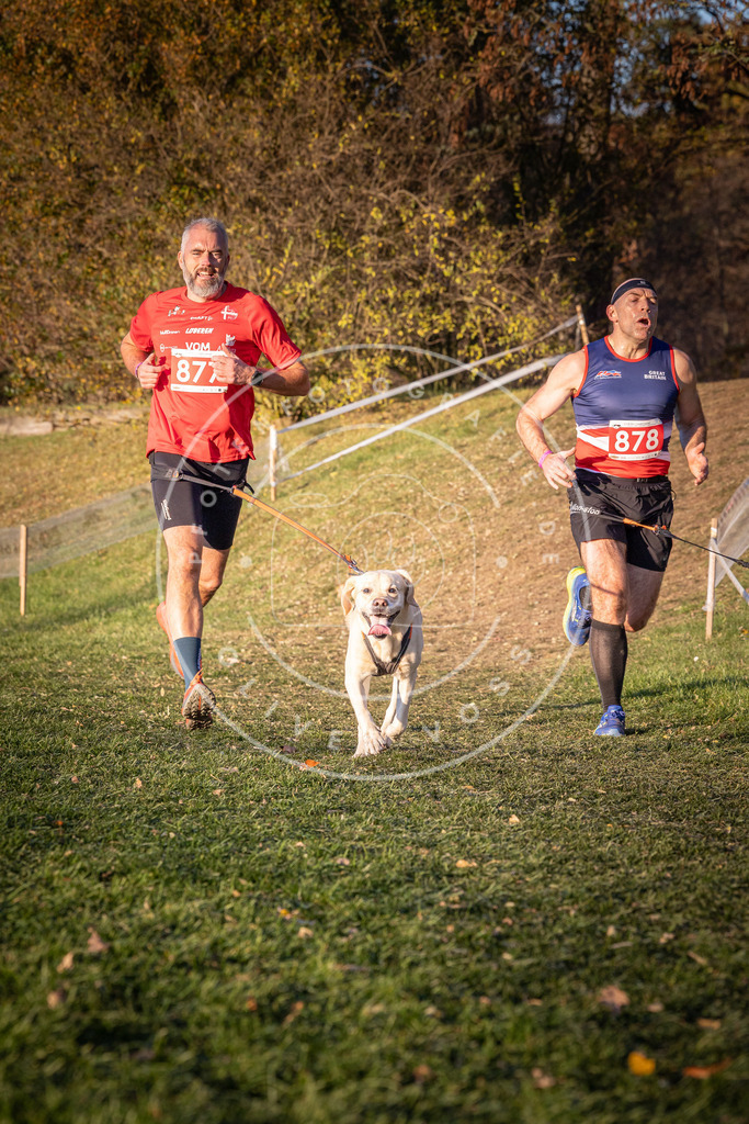 CaniXpix_0L8A1148 | Hundefotografie, Tierfotograf, Pfotenfotografie, Fotoshooting Hund, Hunde Portrait, Hundesport, Hundeportraits, Heideshooting, Hunde, Sportfotograf, Hundefotograf, Turnierhundsport, THS,  - Realisiert mit Pictrs.com