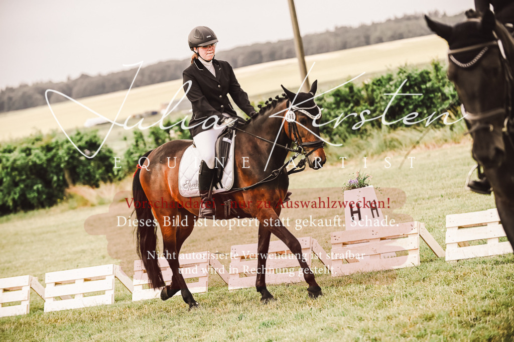 DSC_4886 | Pferde- und Turnierfotografie in Westsachsen. Pferdeportraits, Auftragszeichnungen und intuitive Kunst.