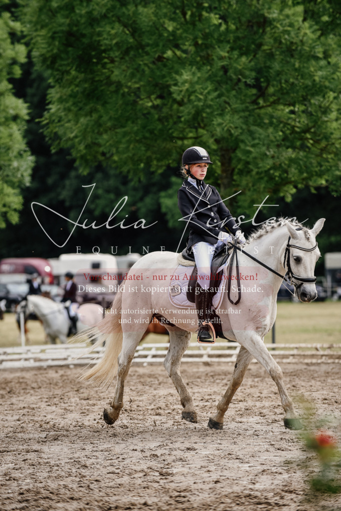DSC_9440 | Pferde- und Turnierfotografie in Westsachsen. Pferdeportraits, Auftragszeichnungen und intuitive Kunst.