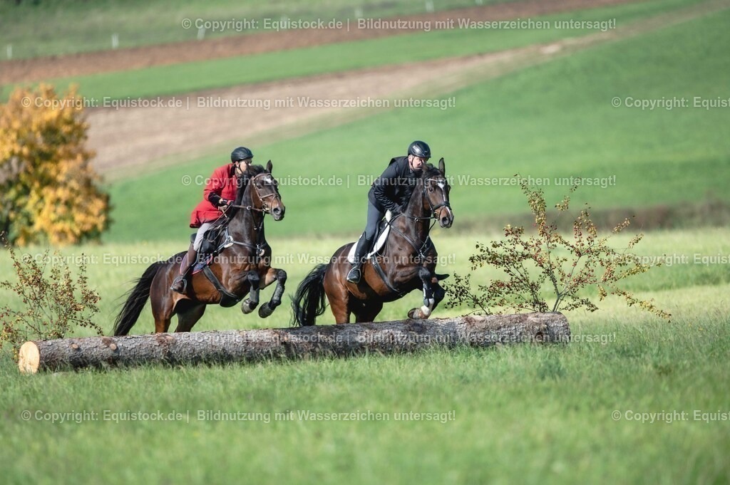 20251011_Jagd-Marbach_0202 | Foto: Thomas Hartig