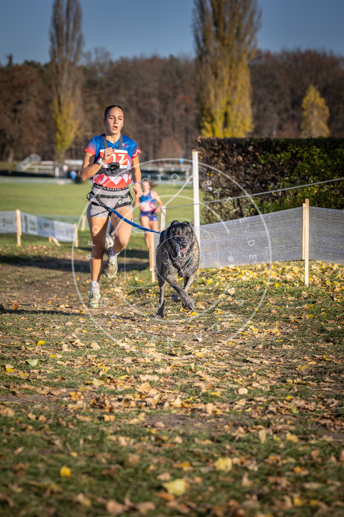 CaniXpix_DV3A1760 | Hundefotografie, Tierfotograf, Pfotenfotografie, Fotoshooting Hund, Hunde Portrait, Hundesport, Hundeportraits, Heideshooting, Hunde, Sportfotograf, Hundefotograf, Turnierhundsport, THS,  - Realisiert mit Pictrs.com
