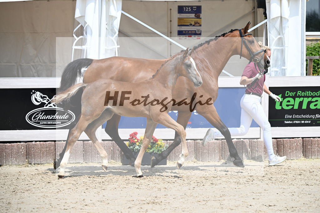 Arezzo Man x Clearway_HF_Maier u Mayerfoels_12250679 | hf-fotografie - Realisiert mit Pictrs.com