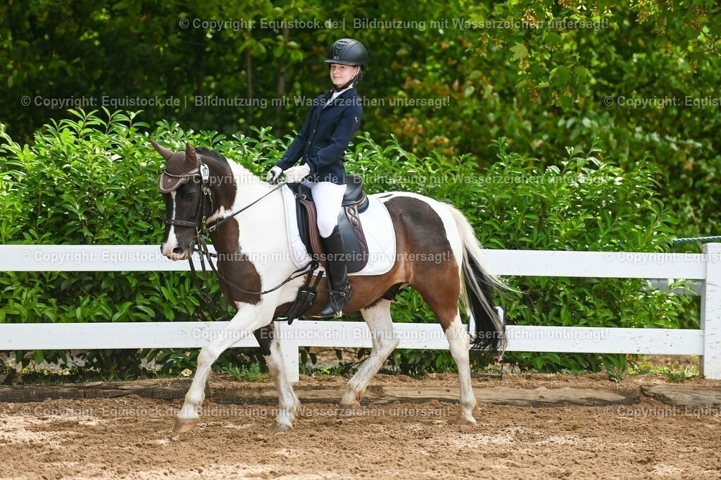 20230716_10-2_Reiter-WB Schritt - Trab - Galopp_0169 | equistock