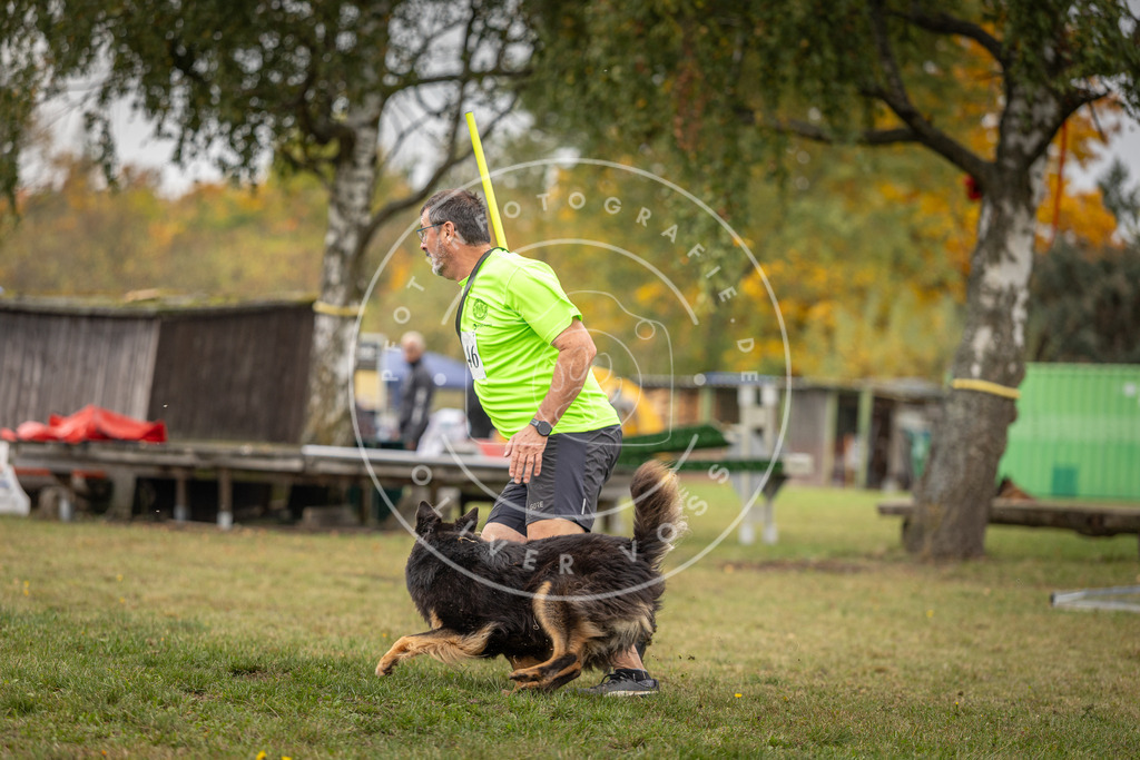 Pfotenfotografie_DV3A6110 | Hundefotografie, Tierfotograf, Pfotenfotografie, Fotoshooting Hund, Hunde Portrait, Hundesport, Hundeportraits, Heideshooting, Hunde, Sportfotograf, Hundefotograf, Turnierhundsport, THS,  - Realisiert mit Pictrs.com