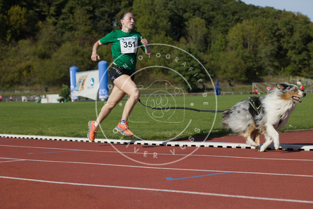 0L8A9720 | Hundefotografie, Tierfotograf, Pfotenfotografie, Fotoshooting Hund, Hunde Portrait, Hundesport, Hundeportraits, Heideshooting, Hunde, Sportfotograf, Hundefotograf, Turnierhundsport, THS,  - Realisiert mit Pictrs.com