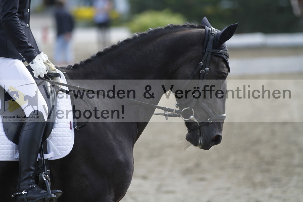 _MG_0734 | equestrian-live-com