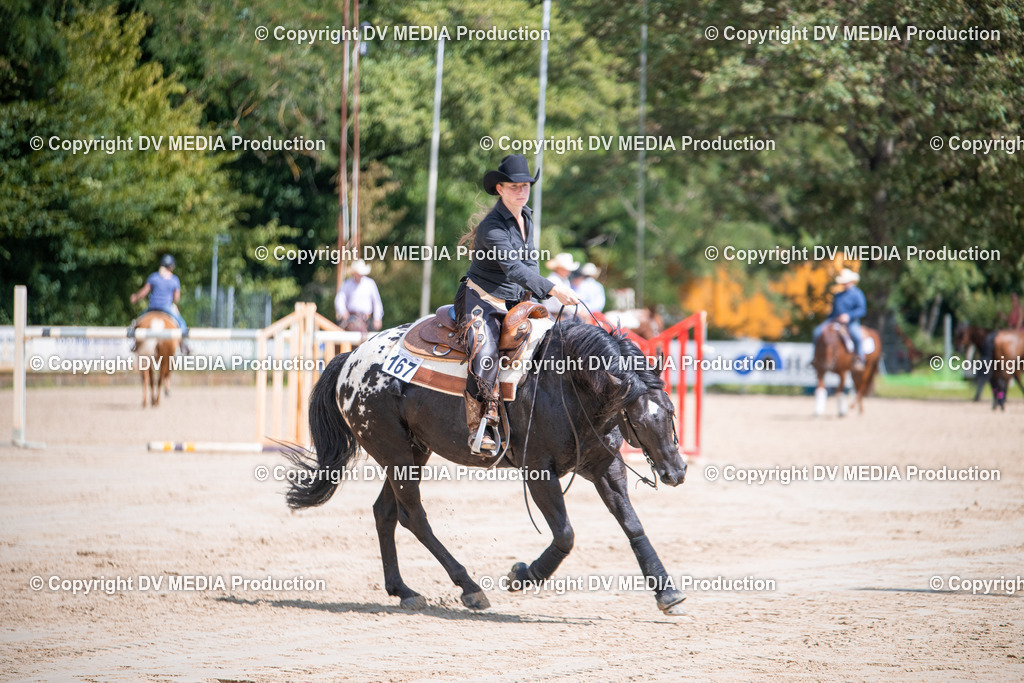 ZS3_5236 | dv-media-shop - Realisiert mit Pictrs.com