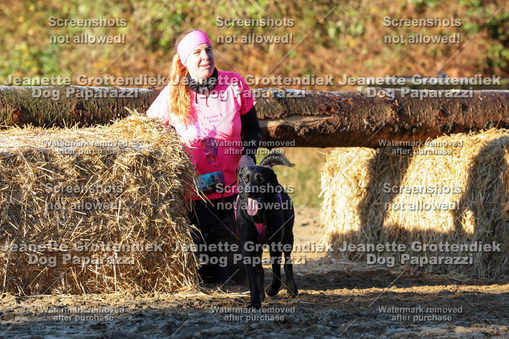 Dog Paparazzi - Strongdog 10-25-842 | Dog Paparazzi Jeanette Grottendiek Fotografie & Videografie - Realisiert mit Pictrs.com