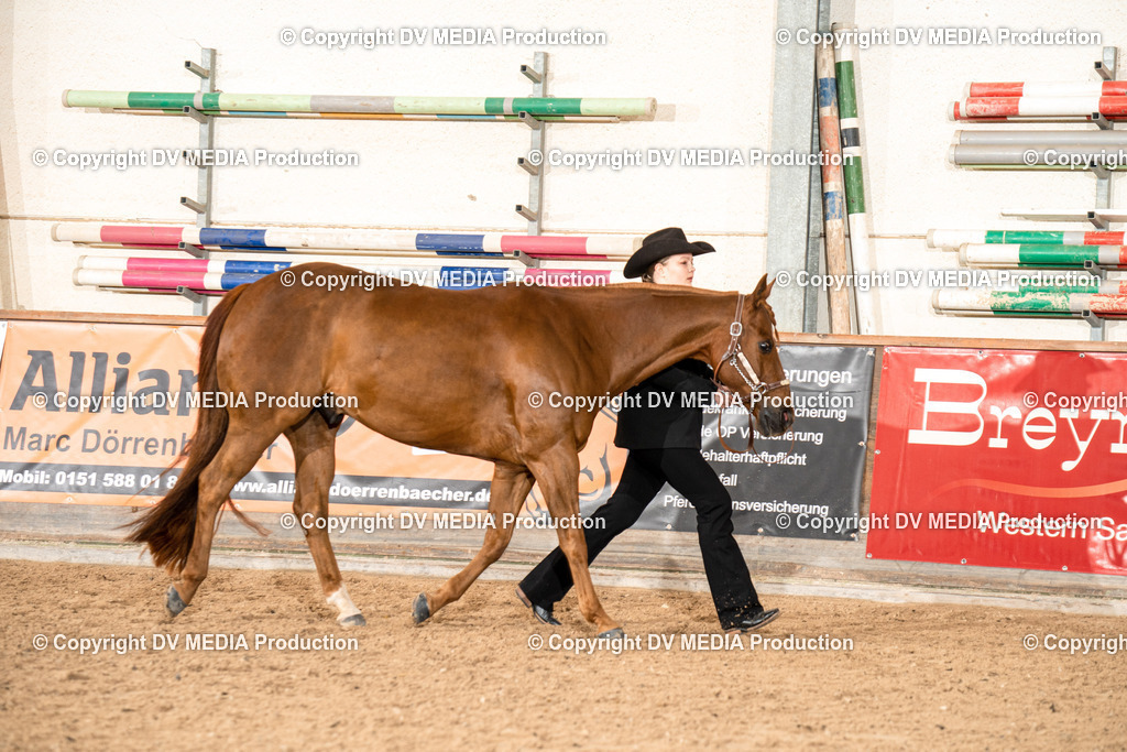 Heiligenwald Tag 1-110 | dv-media-shop - Realisiert mit Pictrs.com