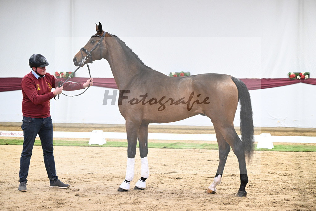 Kat-Nr. 43 Va Pensiero x Secret_Philipp Stuppert_47251498 | hf-fotografie - Realisiert mit Pictrs.com