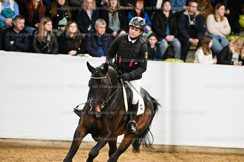 20260307_Hengstvorstellung-Marbach_0445 | equistock