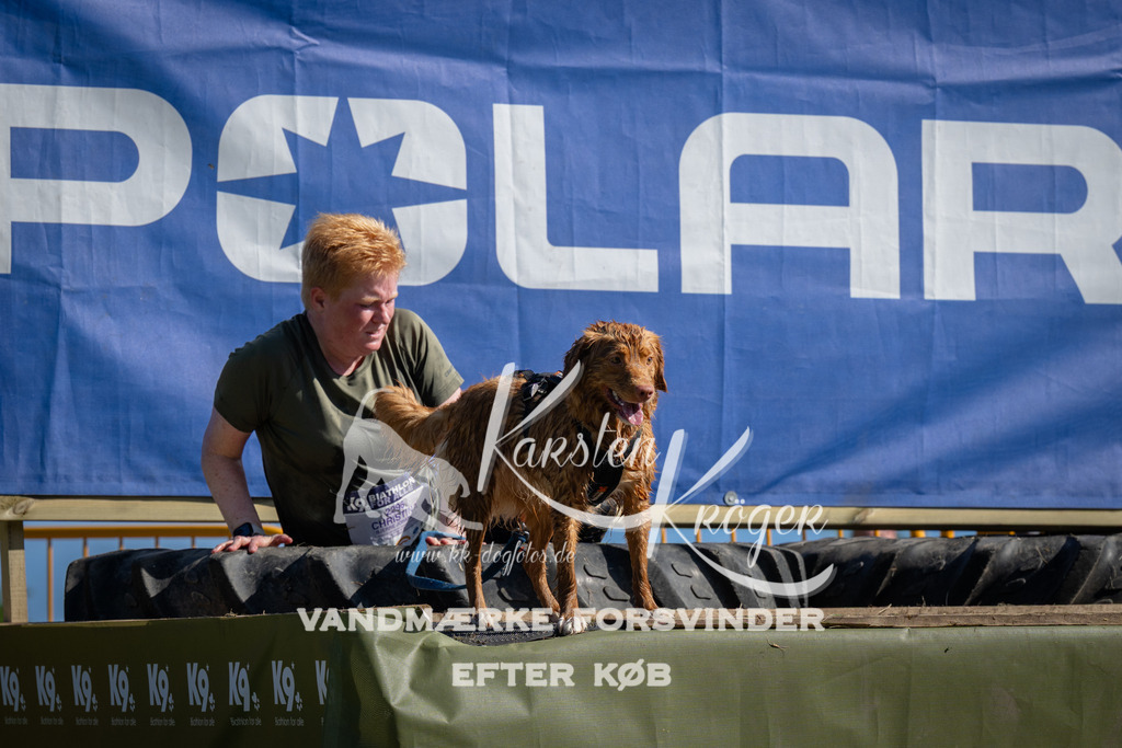 1025_ZZ98593 | kk-dogfotos