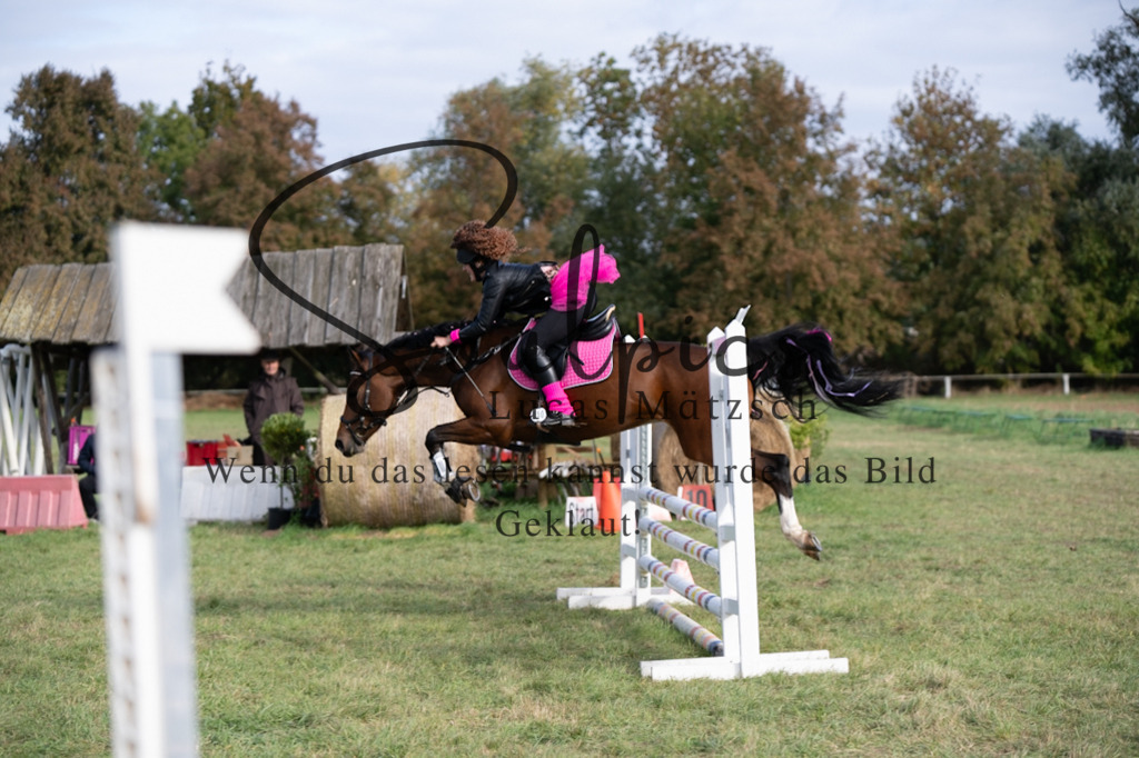 A7V06539 | Pferdefotograf