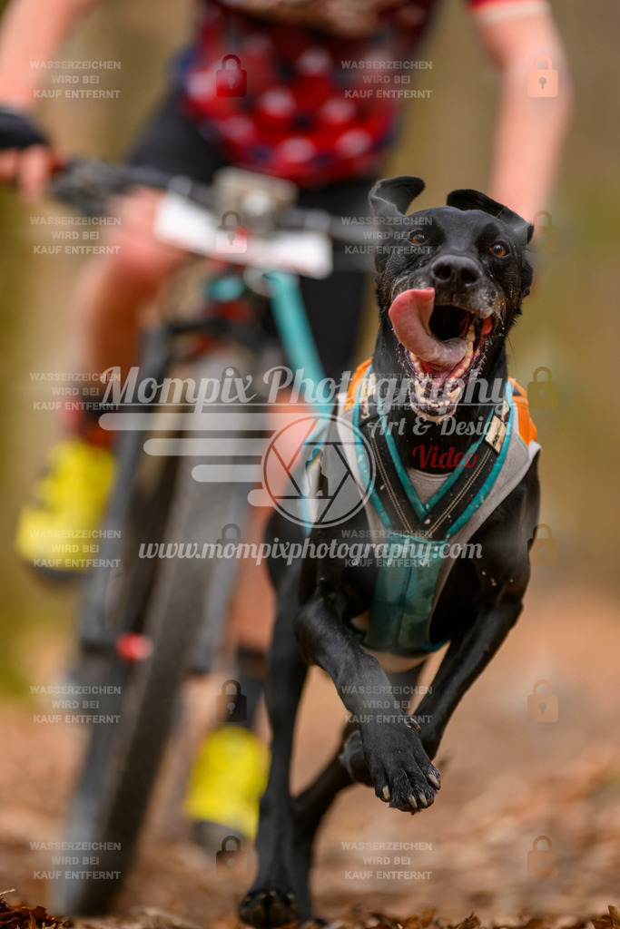 MompixPhotography_Habay2025_SA_Bike-76 | mompixphotography