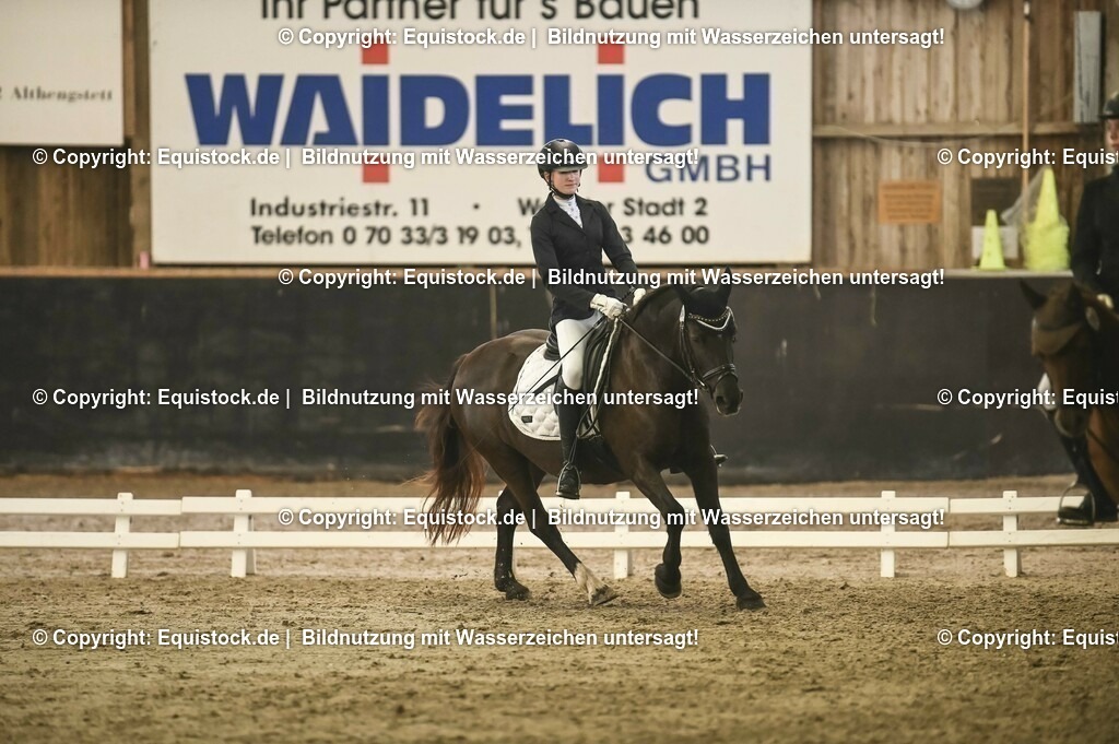 20231029_04_Dressur-WB_0330 | Foto: Thomas Hartig