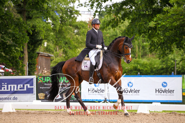 DKP41772 | Deine Turnierfotos vom Reitturnier online kaufen: Dressur, Springen & Siegerehrung. Professionelle Pferdefotografie aus dem Rheinland – als Download & Print.Alternative: Turnierfotograf für den Pferdesport: Finde deine Fotos von Dressur- und Springturnier