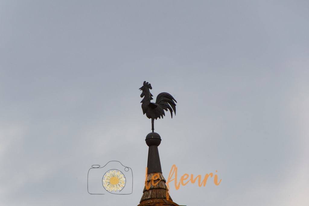 Wetterhahn | Dies ist der Shop von Florian Blum - le fleuri. Langenthal, Bern, Schweiz. Sie können hier meine oder ihre eigenen Fotos als Fotoprodukte kaufen. Tassen, Schlüsselanhänger, Taschen etc. können Sie hier gestalten.  - Realisiert mit Pictrs.com