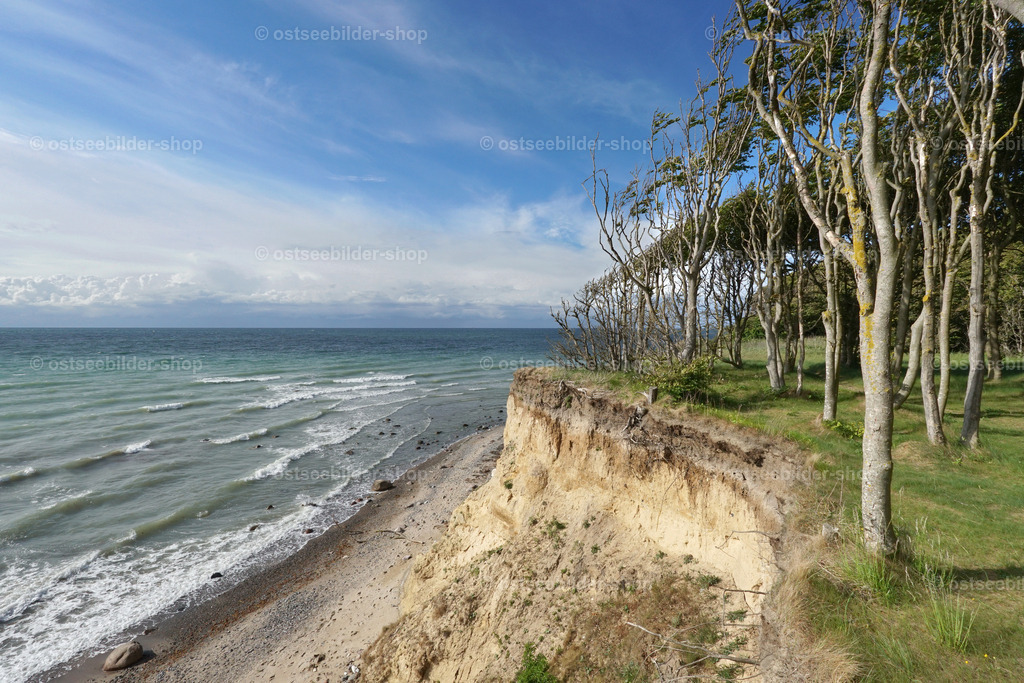 Wald am Steilufer | Das Bild zeigt einen kleinen Wald an der Steilküste der Ostsee auf Rügen. Die kräftige Herbstsonne zeichnet Baumschatten auf den Boden. Schaumkronen rollen an den Strand. Hier enden Land und Wald abrupt an der Ostsee.