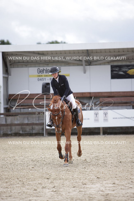 1J2A0631Pheline Ahlmann_ Belloumi_ Kn046_ Havekost | Foto- und Videografie für alles rund ums Pferd. Hochwertige Bilder und Videos vom Spring- und Dressurreiten, Voltigieren & mehr. Jetzt aktuelle Veranstaltungen und Preise im Shop ansehen. - Realisiert mit Pictrs.com