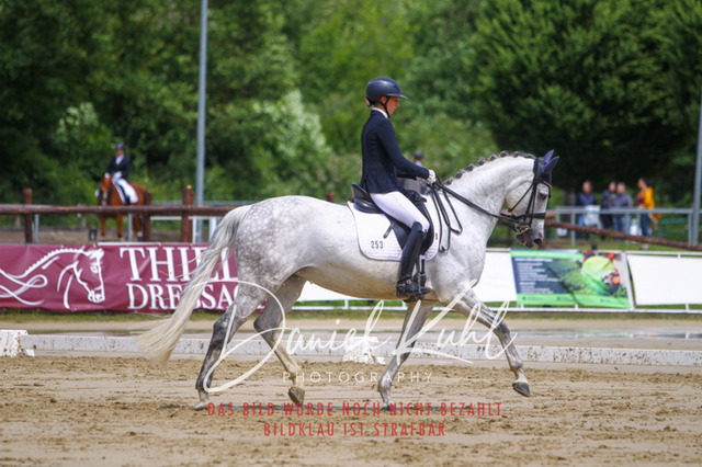 DKP40661 | Turniersportfotografie; Pferdefotografie; Dressurfotografie