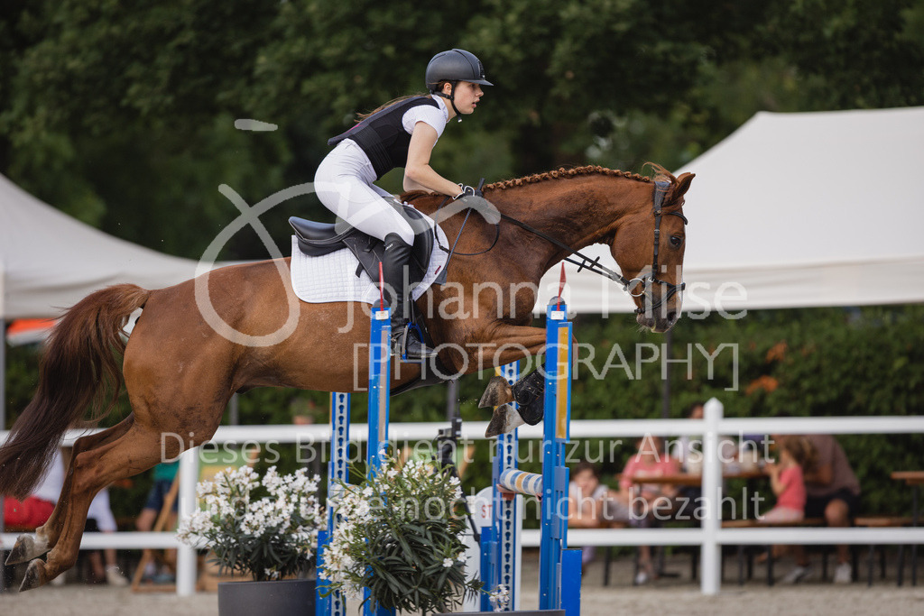 230616_Lemwerder_SprPf-Lgeschl-933 | Deine schönsten Turniermomente als professionelle Fotos! Entdecke hochwertige Pferdesport-Fotografie im Online-Shop. Jetzt Fotos finden & bestellen!