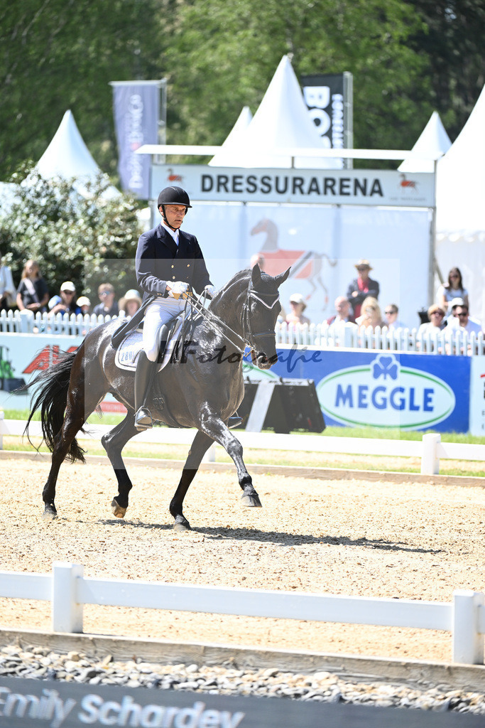 Spatz_Walentina_12246293 | hf-fotografie - Realisiert mit Pictrs.com