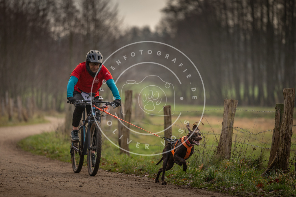 Pfotenfotografie_DV3A1872 | Hundefotografie, Tierfotograf, Pfotenfotografie, Fotoshooting Hund, Hunde Portrait, Hundesport, Hundeportraits, Heideshooting, Hunde, Sportfotograf, Hundefotograf, Turnierhundsport, THS,  - Realisiert mit Pictrs.com