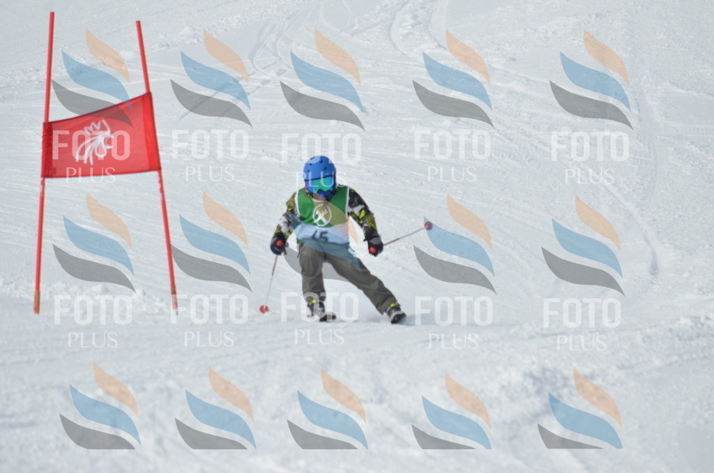 D8554 | holidayphoto