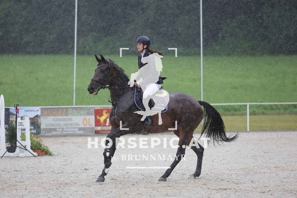 0P6A1067 | Willkommen bei Brunnmayr - Design & Fotografie – Ihrem Spezialisten für Reitturniere und Pferdeveranstaltungen in Oberösterreich, Salzburg und Bayern! Seit über 17 Jahren sind wir leidenschaftlich dabei.