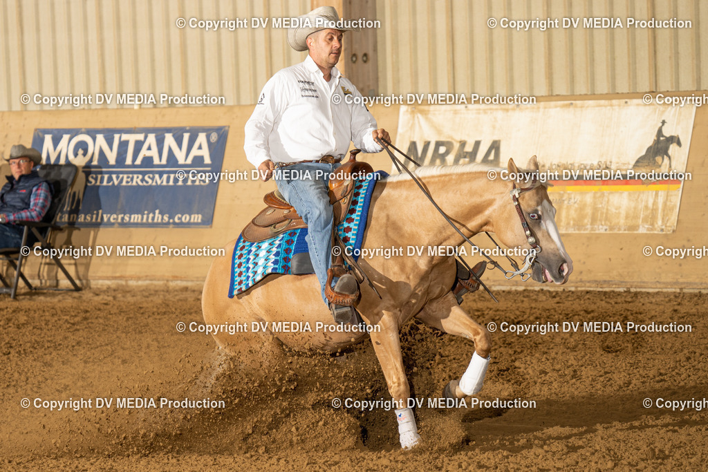 LAU01316 | dv-media-shop - Realisiert mit Pictrs.com