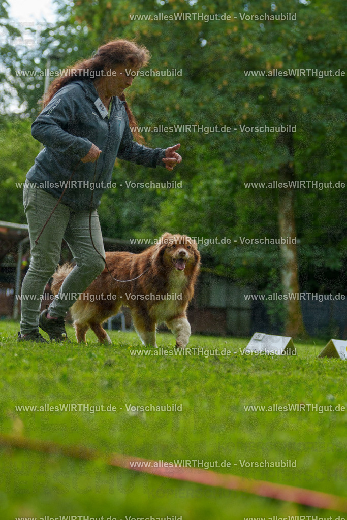 @allesWIRTHgut_Tierfotografie - www.allesWIRTHgut.de - 7R505123 | Professionelle Tierfotografie in Mönchengladbach von Daniel Wirth (allesWIRTHgut). Liebevolle & natürliche Bilder von Hunden & Katzen für unvergessliche Erinnerungen.