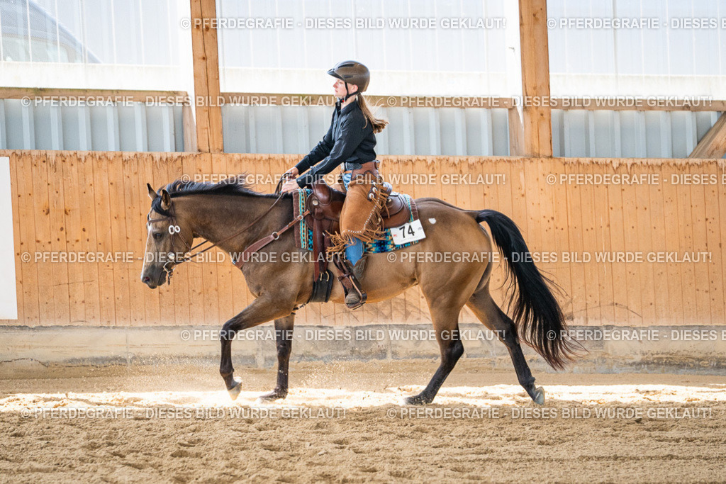 DSC03411 | Pferdegrafie