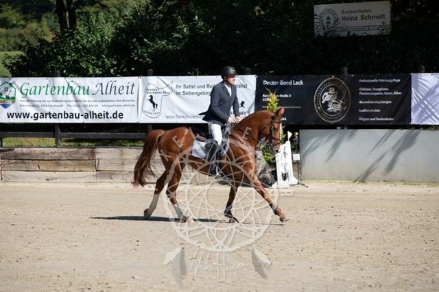 2B4A0388 | pixelfaenger - Realisiert mit Pictrs.com