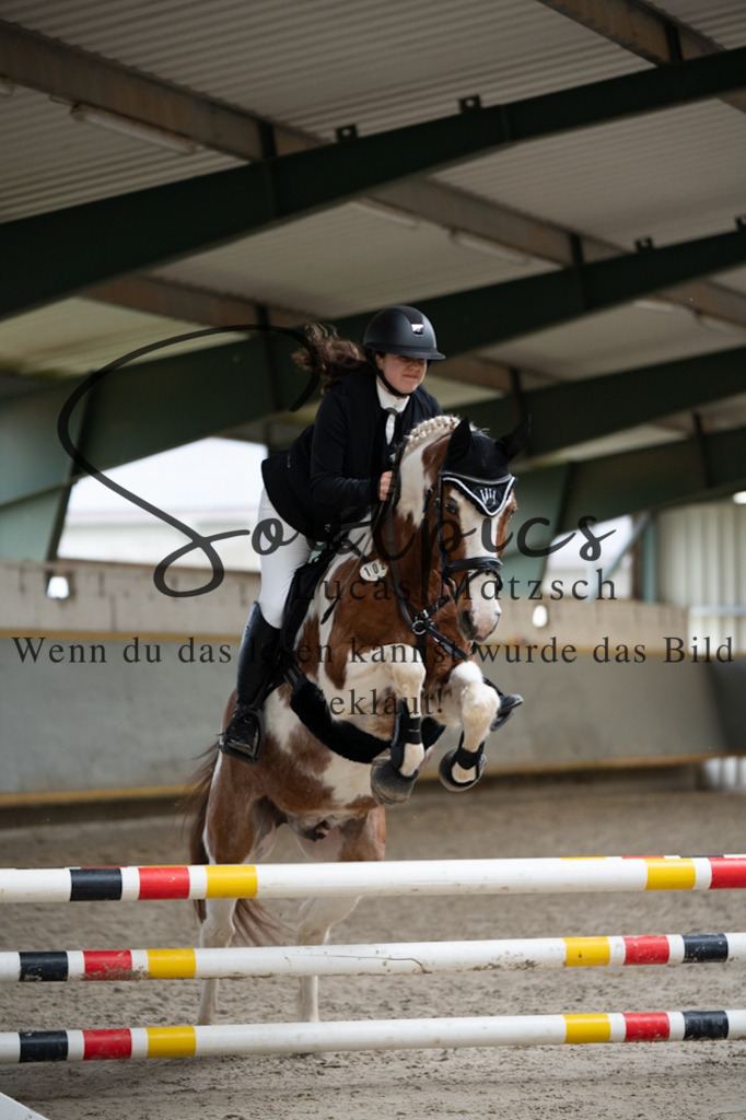 A7V03875 | Pferdefotograf