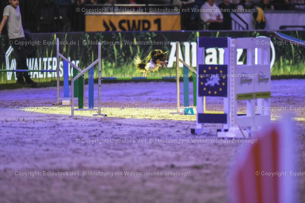 20231115_Dog-Agility_0158_TOMsPiC | Foto: Thomas Hartig