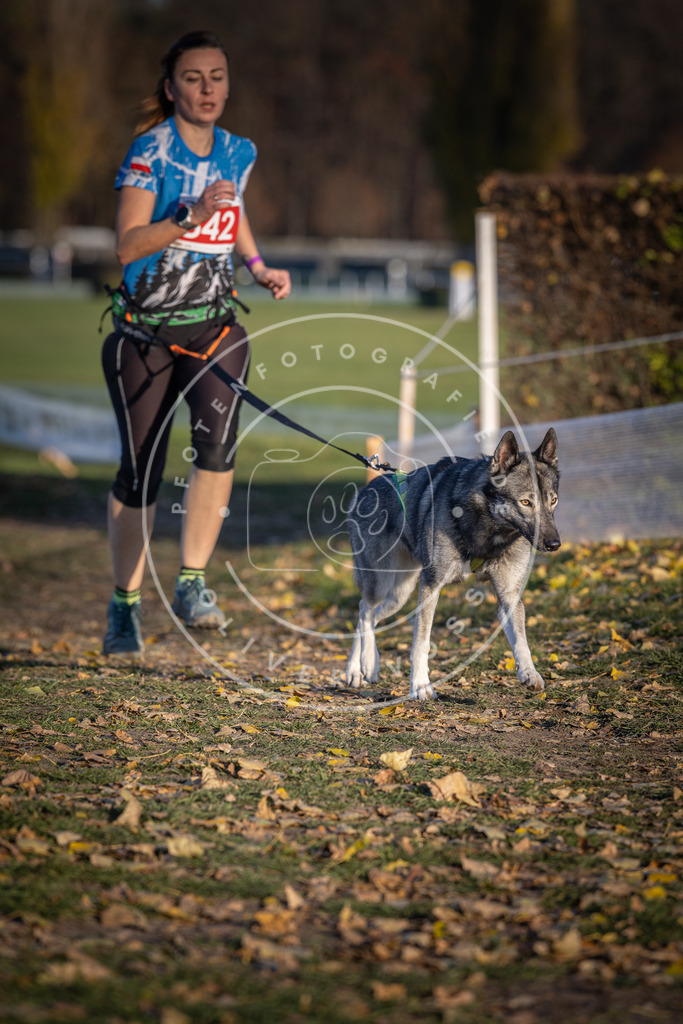CaniXpix_DV3A3724 | Hundefotografie, Tierfotograf, Pfotenfotografie, Fotoshooting Hund, Hunde Portrait, Hundesport, Hundeportraits, Heideshooting, Hunde, Sportfotograf, Hundefotograf, Turnierhundsport, THS,  - Realisiert mit Pictrs.com