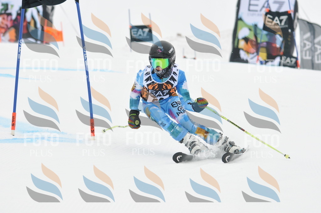 DSC_7808 | holidayphoto