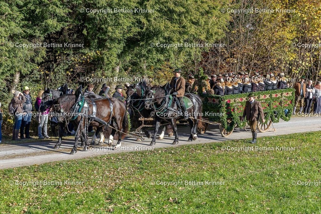 LBT25-719 | foto-bettina-krinner - Realisiert mit Pictrs.com
