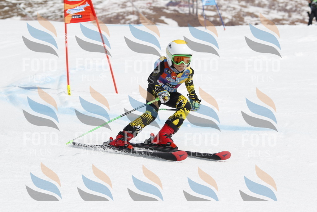 _U3G1995 | holidayphoto