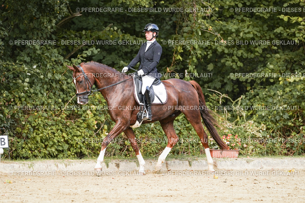 DSC02622 | Pferdegrafie