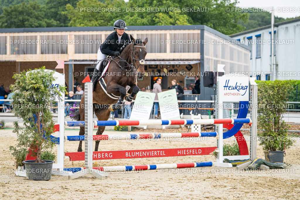 DSC00617 | Pferdegrafie