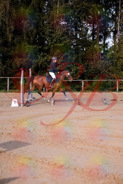 2026_10_03_Siefer-Hof_145626_Z81_37375814 | Professionelle Reitsport-, Turnier- und Eventfotografie von Robert Broda. Galerien mit ausgewählten und bearbeiteten Bildern direkt online ansehen und bestellen.