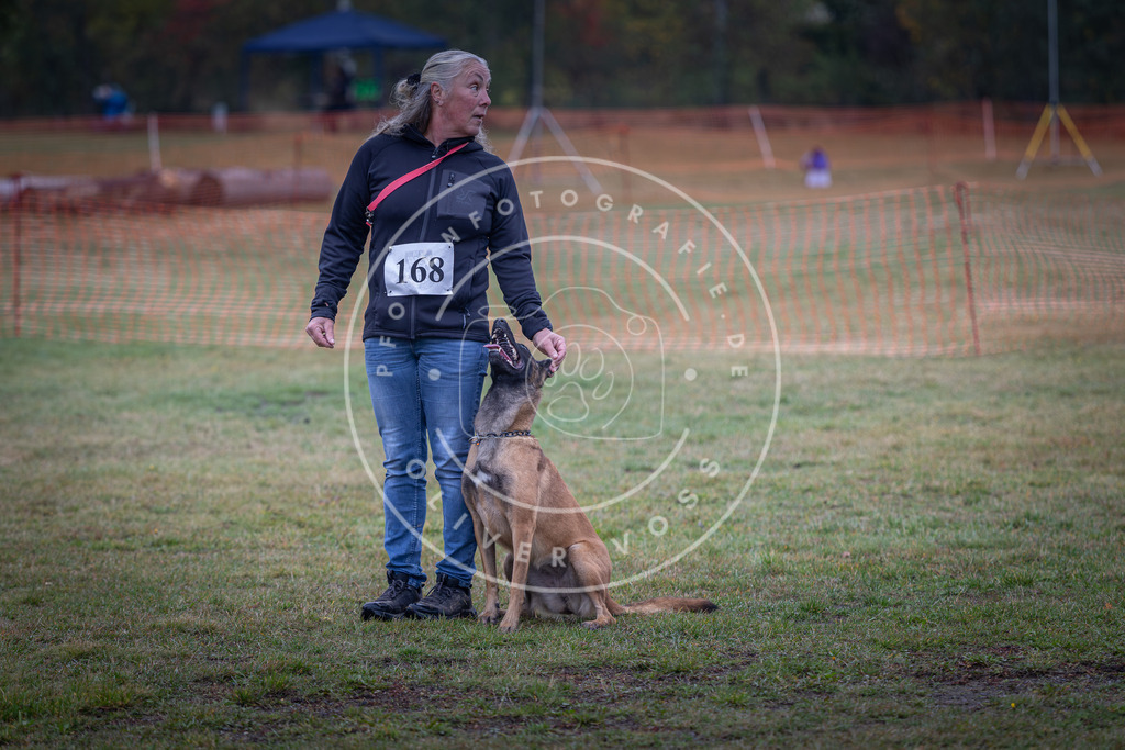 Pfotenfotografie_DV3A9031 | Hundefotografie, Tierfotograf, Pfotenfotografie, Fotoshooting Hund, Hunde Portrait, Hundesport, Hundeportraits, Heideshooting, Hunde, Sportfotograf, Hundefotograf, Turnierhundsport, THS,  - Realisiert mit Pictrs.com