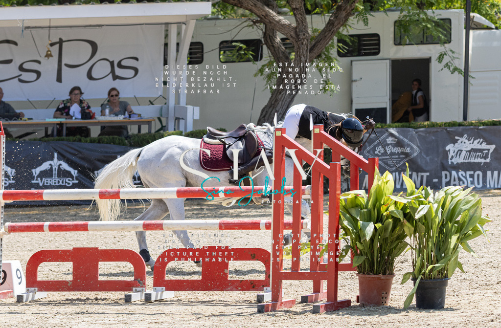 IMG_7978 | s-jay-photography - Realisiert mit Pictrs.com