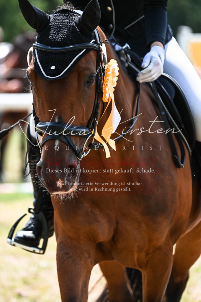 DSC_9535 | Pferde- und Turnierfotografie in Westsachsen. Pferdeportraits, Auftragszeichnungen und intuitive Kunst.